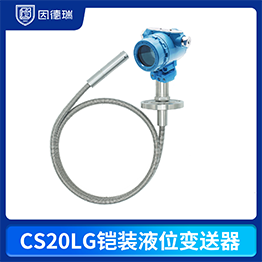 CS20LG铠装液位变送器
