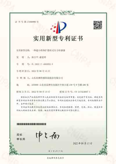 实用新型专利3