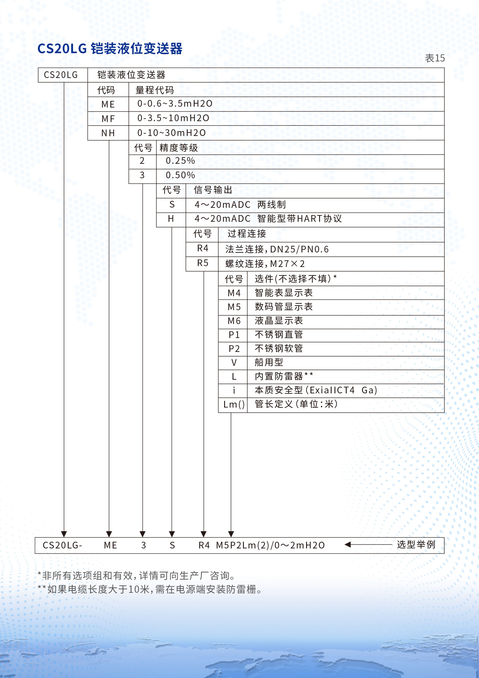 CS20LG铠装液位变送器详情页2.jpg