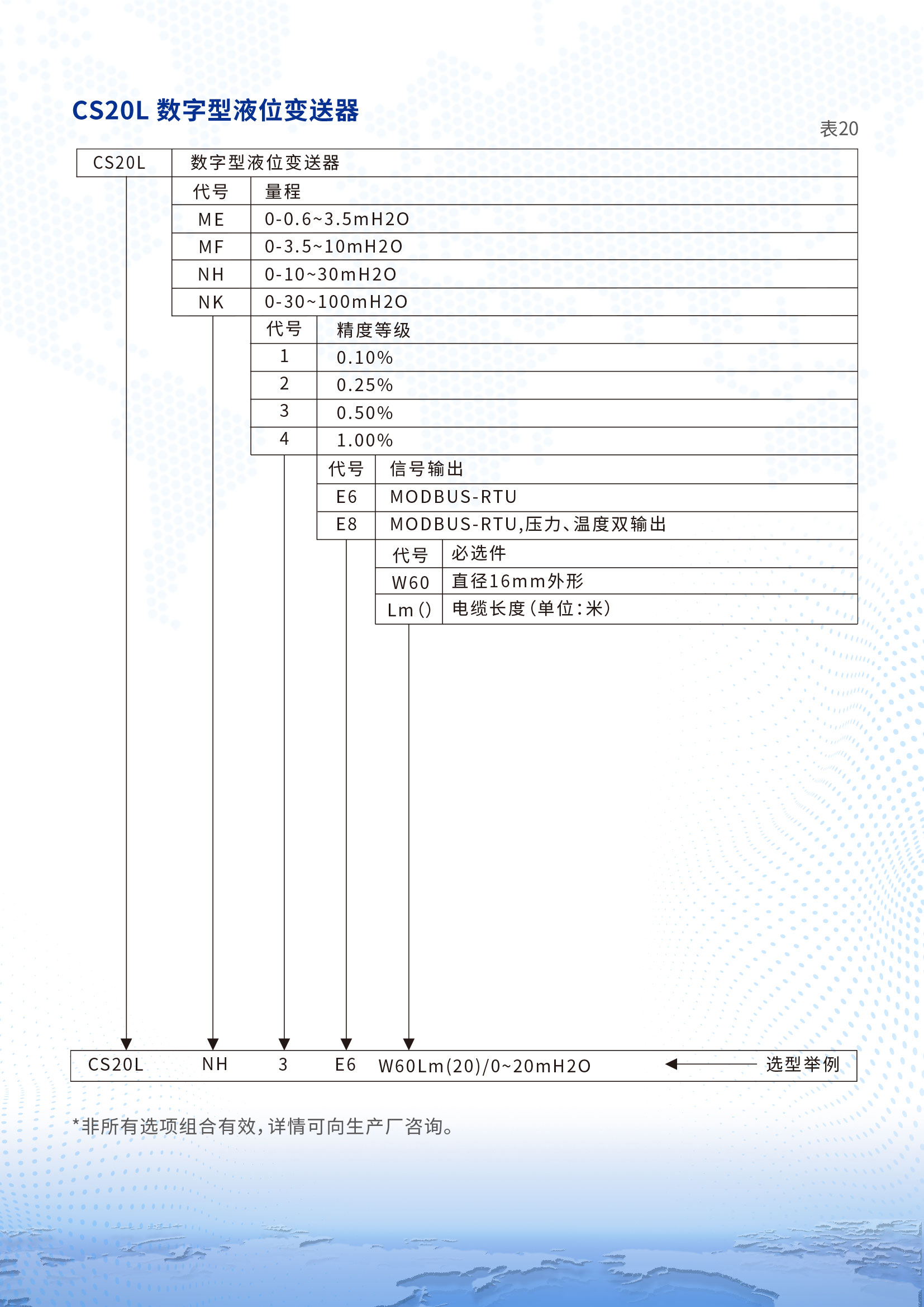 CS20L数字型液位变送器详情页2.jpg