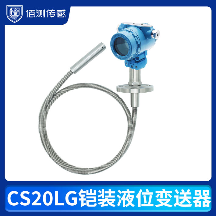 CS20LG铠装液位变送器
